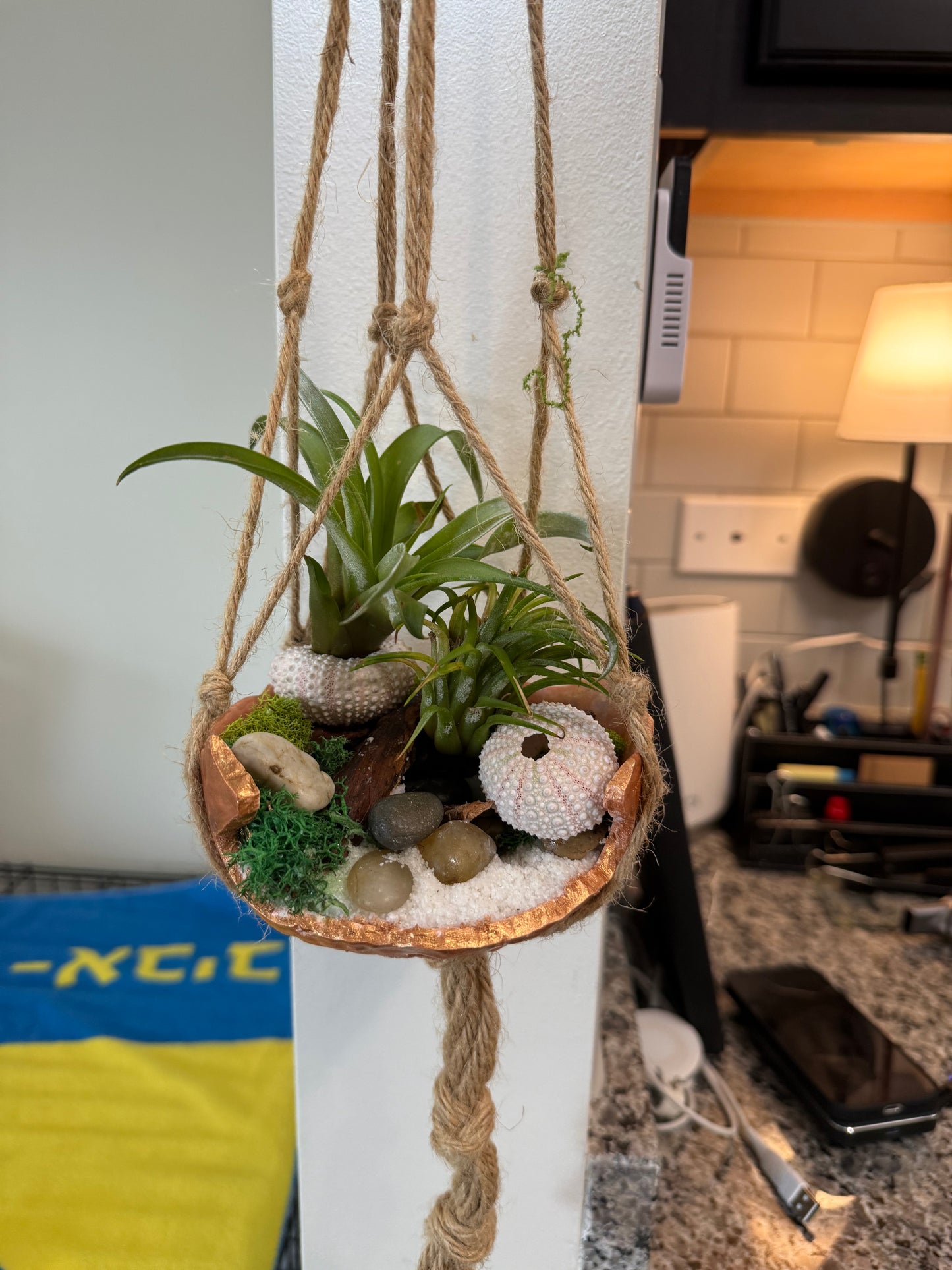 Minimalist Air Plant "Fairy Garden" Bowl with Moss & Natural Accents | Mini Indoor Garden Handcrafted Boho Plant Decor