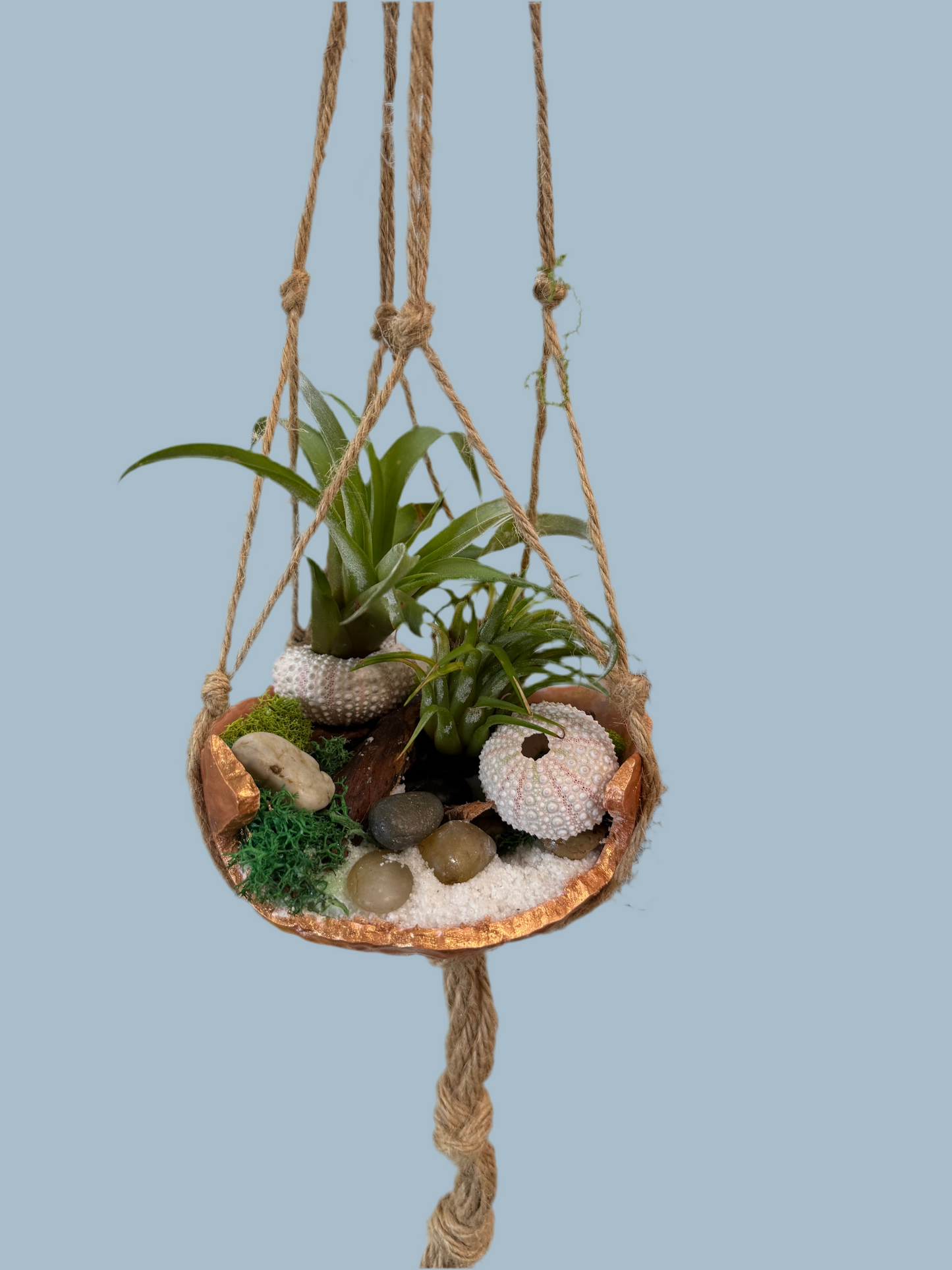 Minimalist Air Plant "Fairy Garden" Bowl with Moss & Natural Accents | Mini Indoor Garden Handcrafted Boho Plant Decor