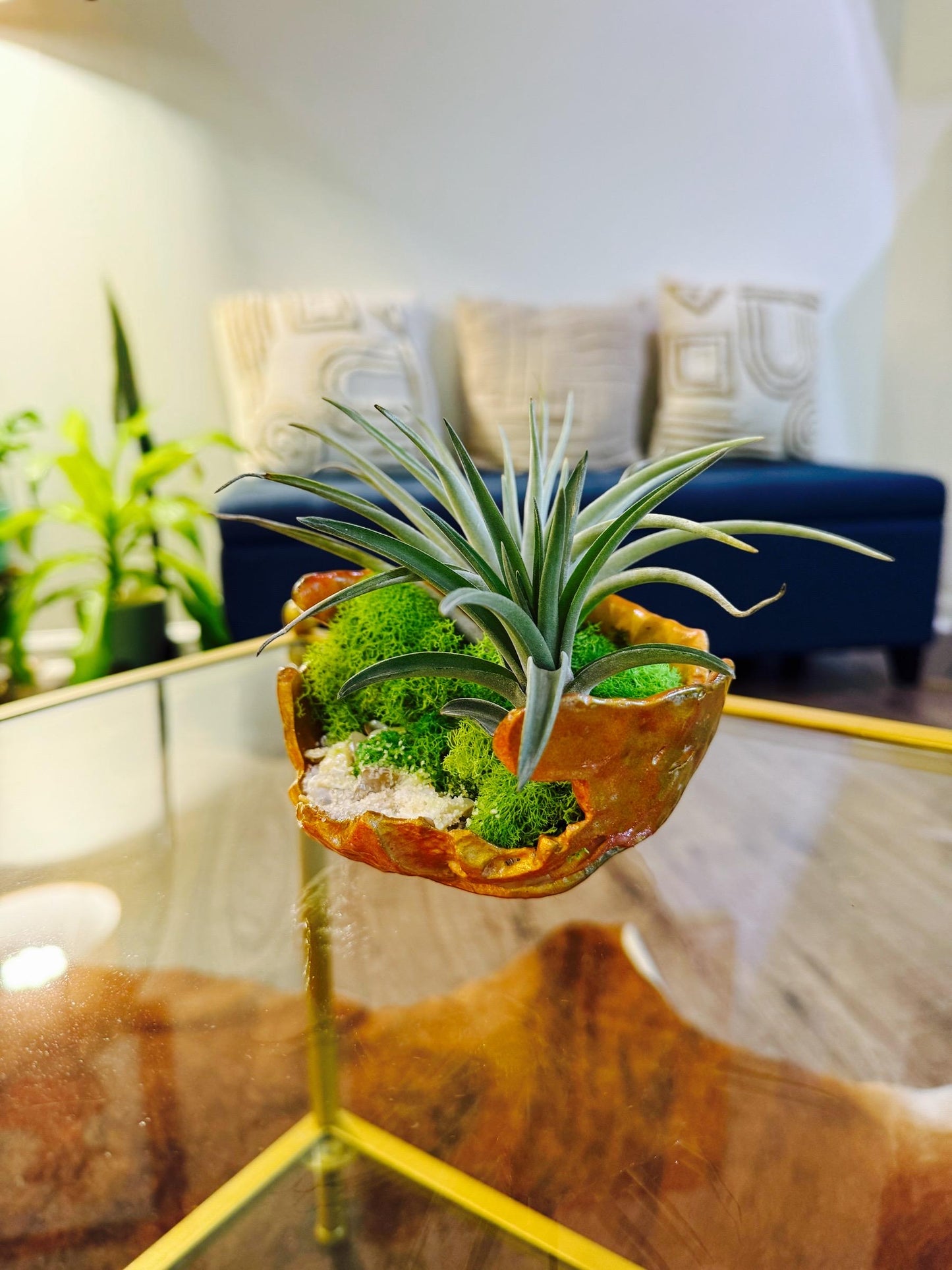 Minimalist Air Plant "Fairy Garden" Bowl with Moss & Natural Accents | Mini Indoor Garden Handcrafted Boho Plant Decor