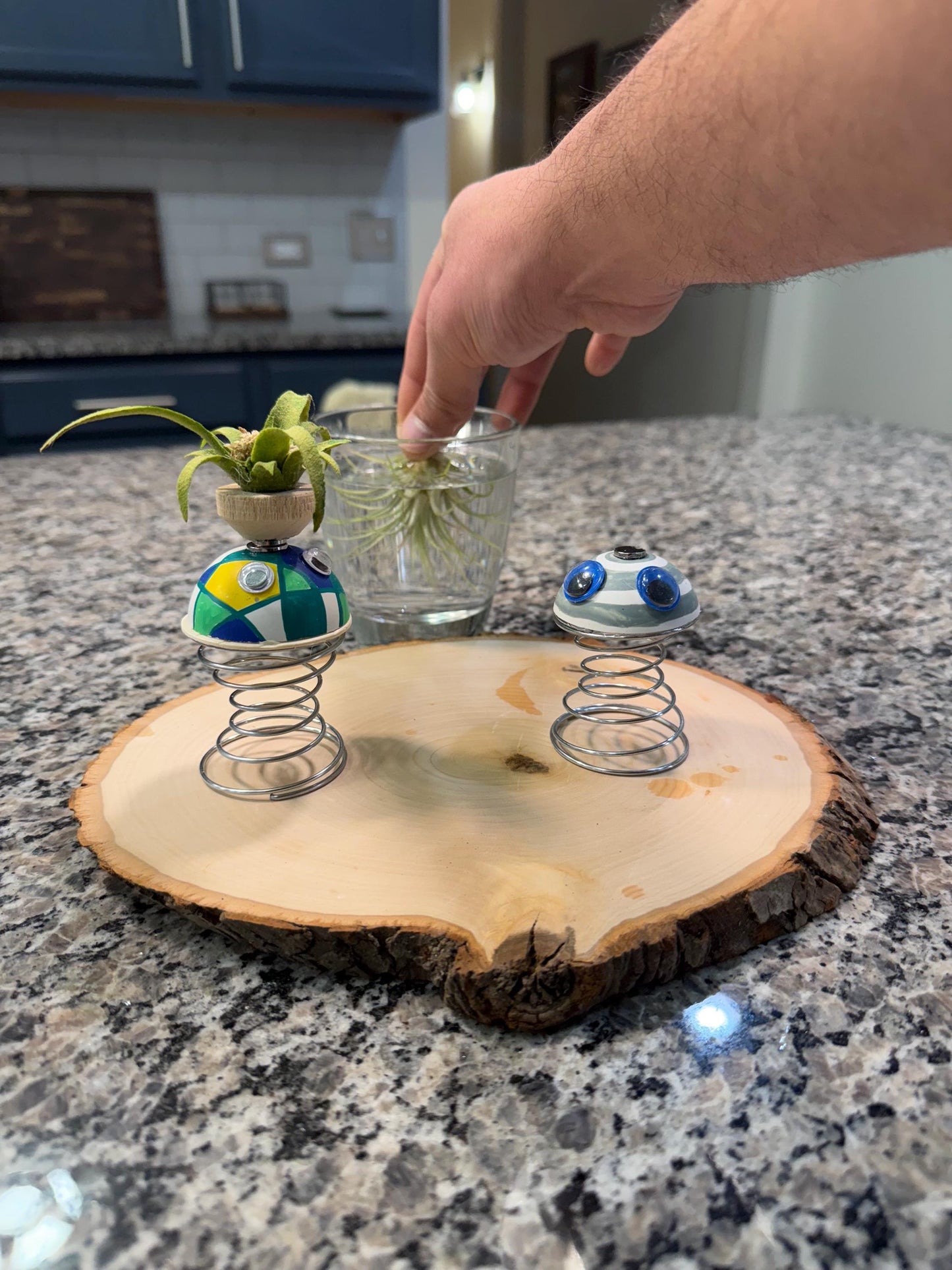 Air Plant Buddy Magnetic Plant Pal Gift with Googly Eyes | Handmade Air Plant Display