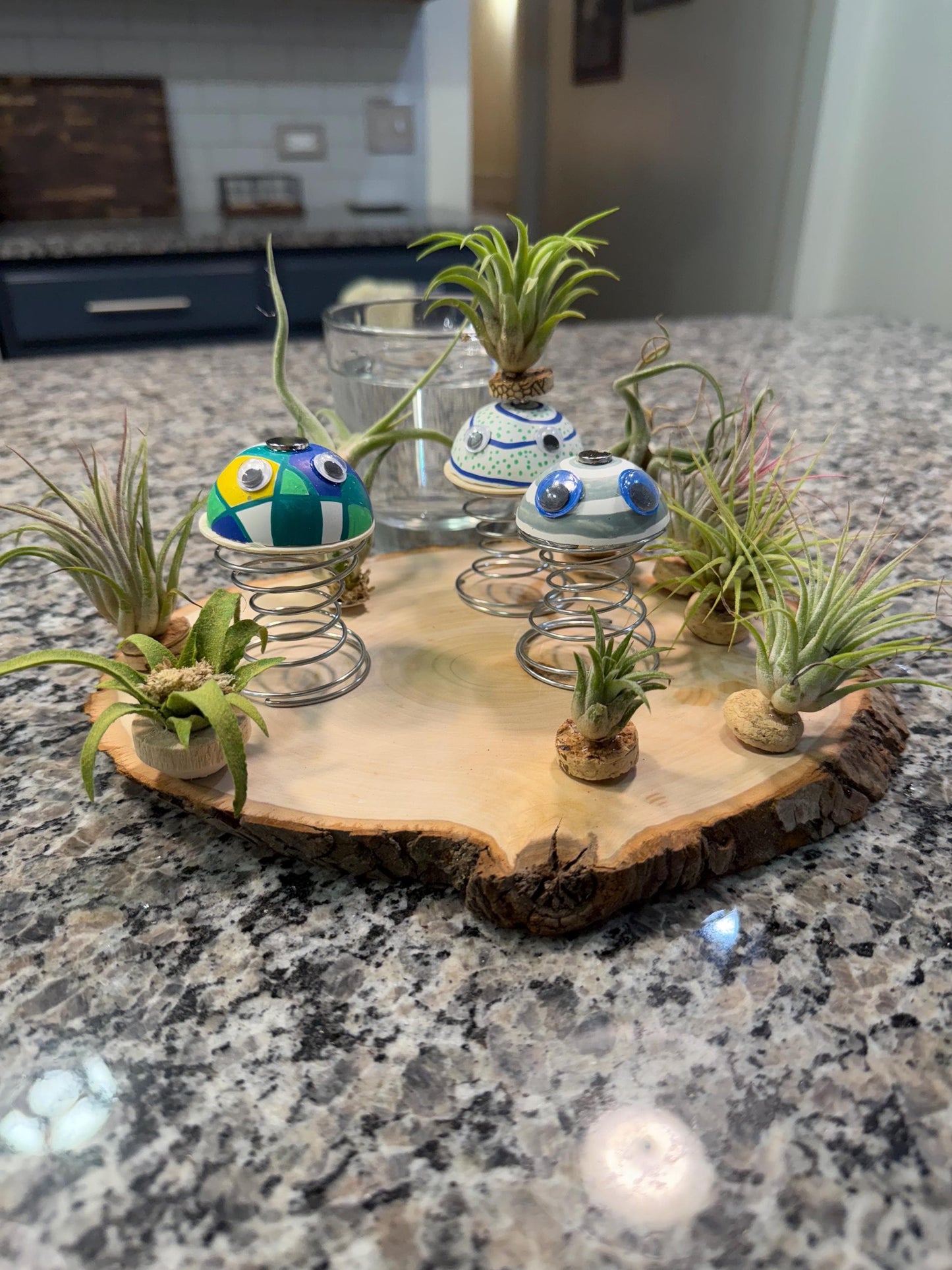 Air Plant Buddy Magnetic Plant Pal Gift with Googly Eyes | Handmade Air Plant Display