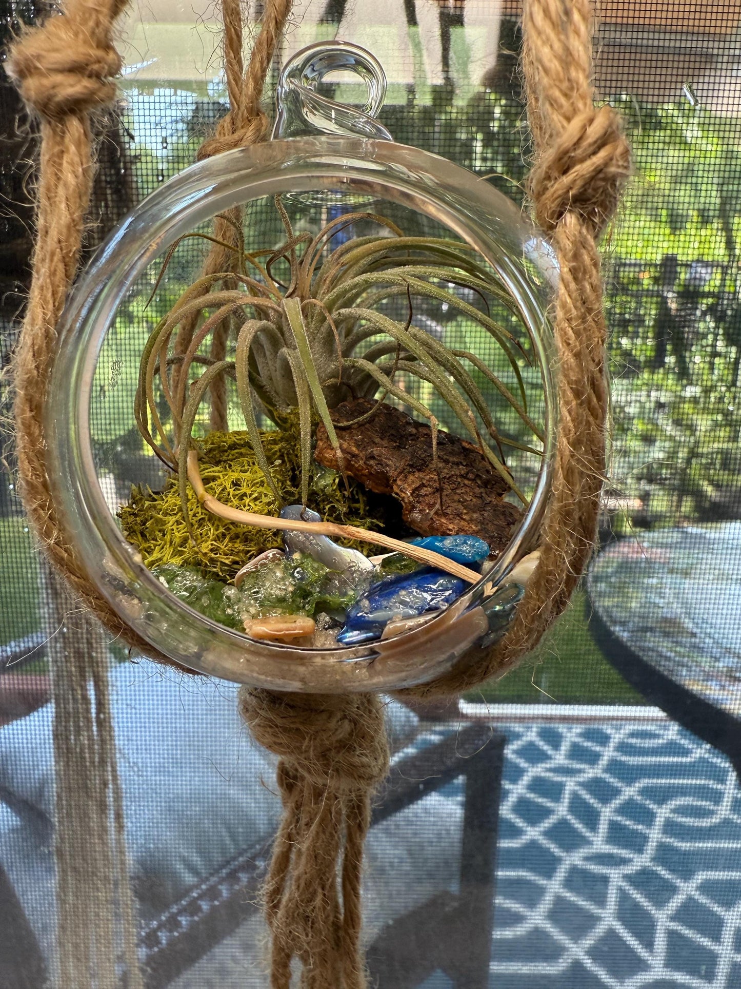 Hanging "Fairy Garden" | Mini Terrarium | Orb Display for Air plants | Pixie Plant Display