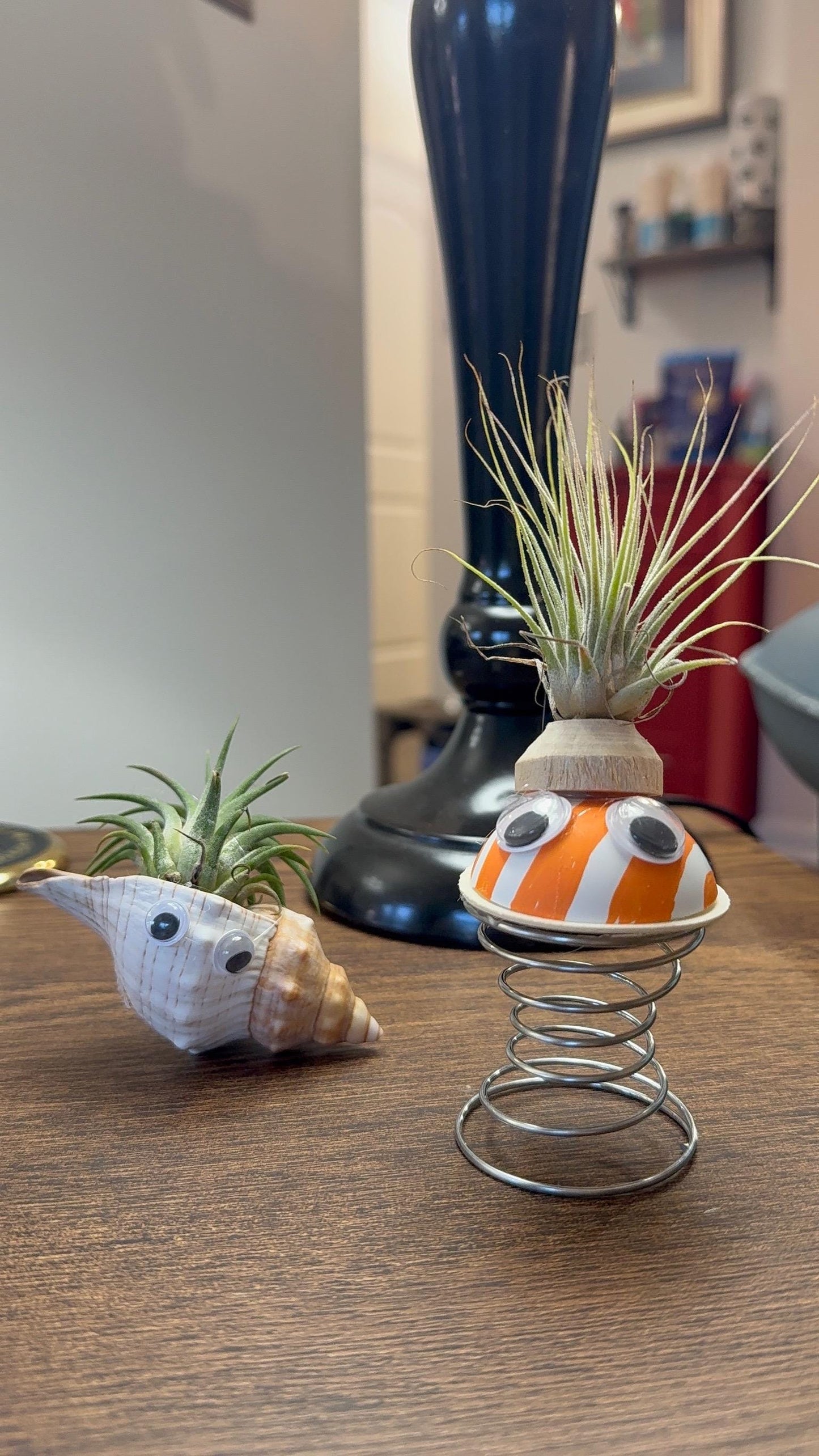 Air Plant Buddy Magnetic Plant Pal Gift with Googly Eyes | Handmade Air Plant Display
