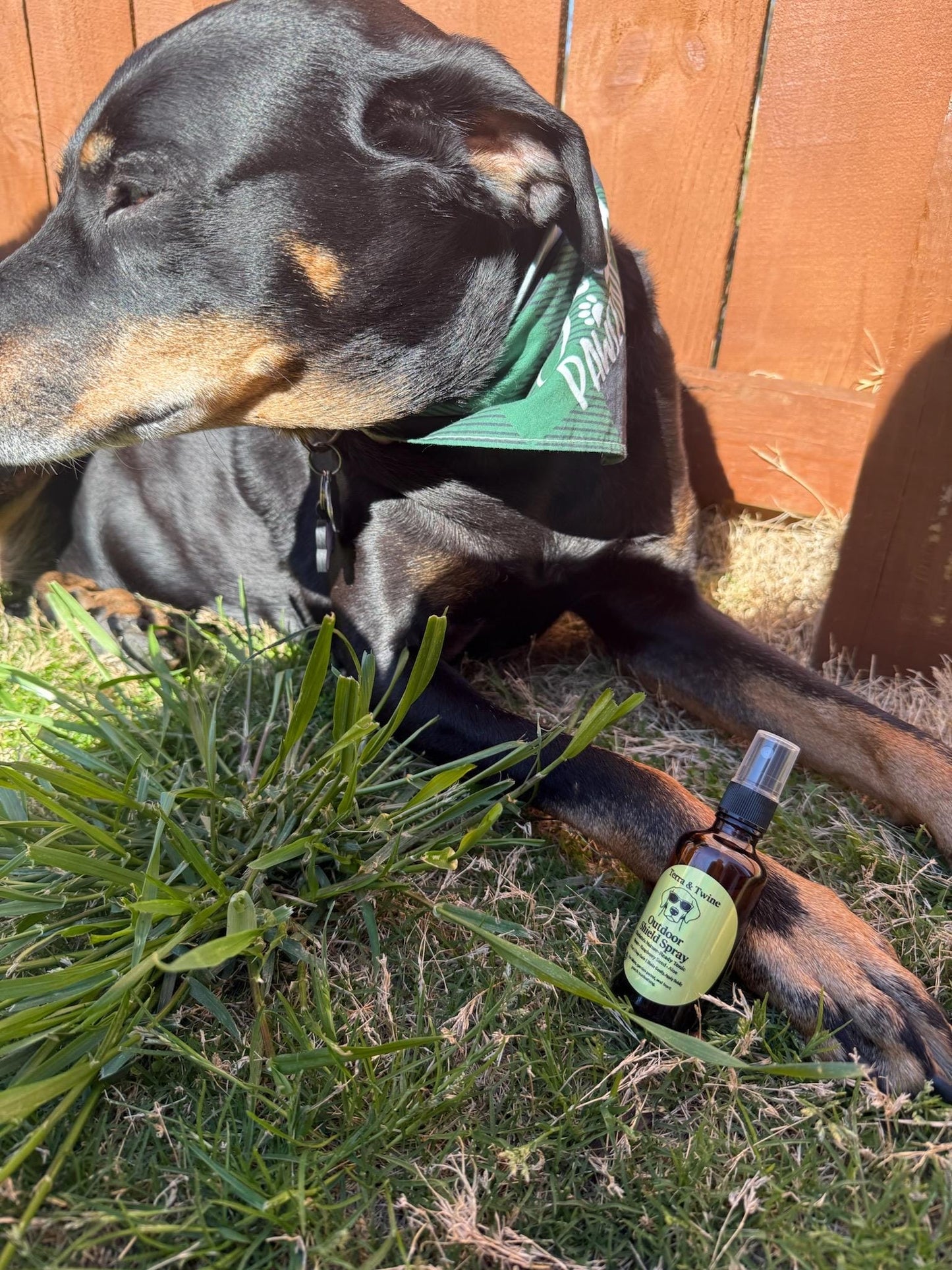 Outdoor Shield Spray An Outdoor Companion for Your Sun-Loving, Woods-Exploring Pup | Spray & Roll-on | All-Natural Dog Spray for Summer