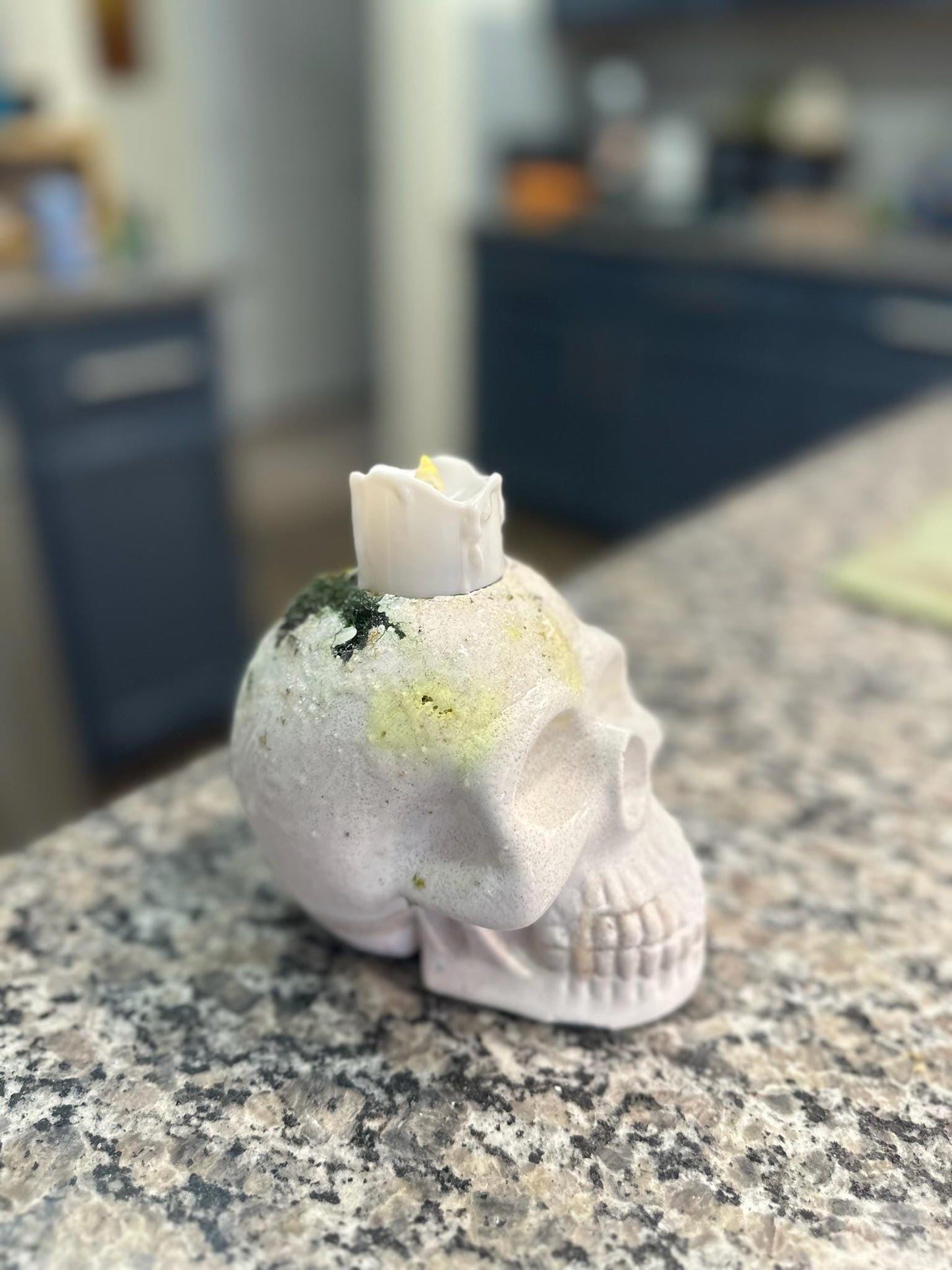 Halloween Skull Holder for Candles and Plants | Skeleton | Spooky Candle/Plant Holder | Eclectic Decor | Halloween | Garden Skull