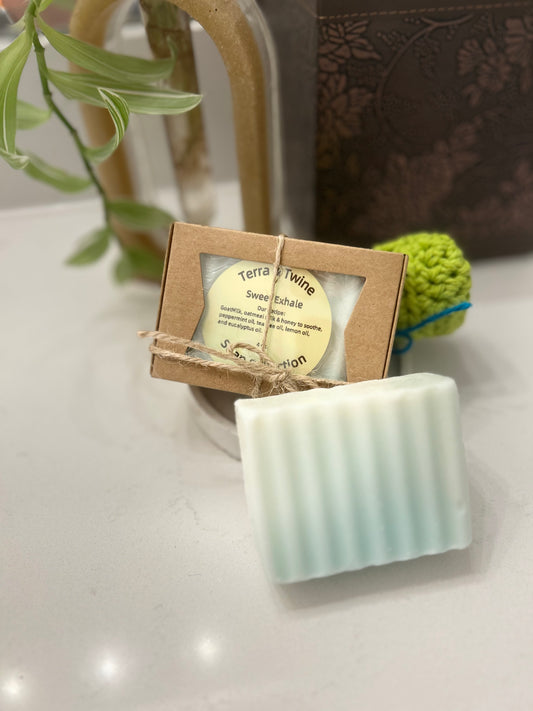 Handmade Soap Bar Collection | Goat Milk Soap | Natural, Soothing, Exfoliating, Hydrating Small-Batch Skincare with Rustic Packaging
