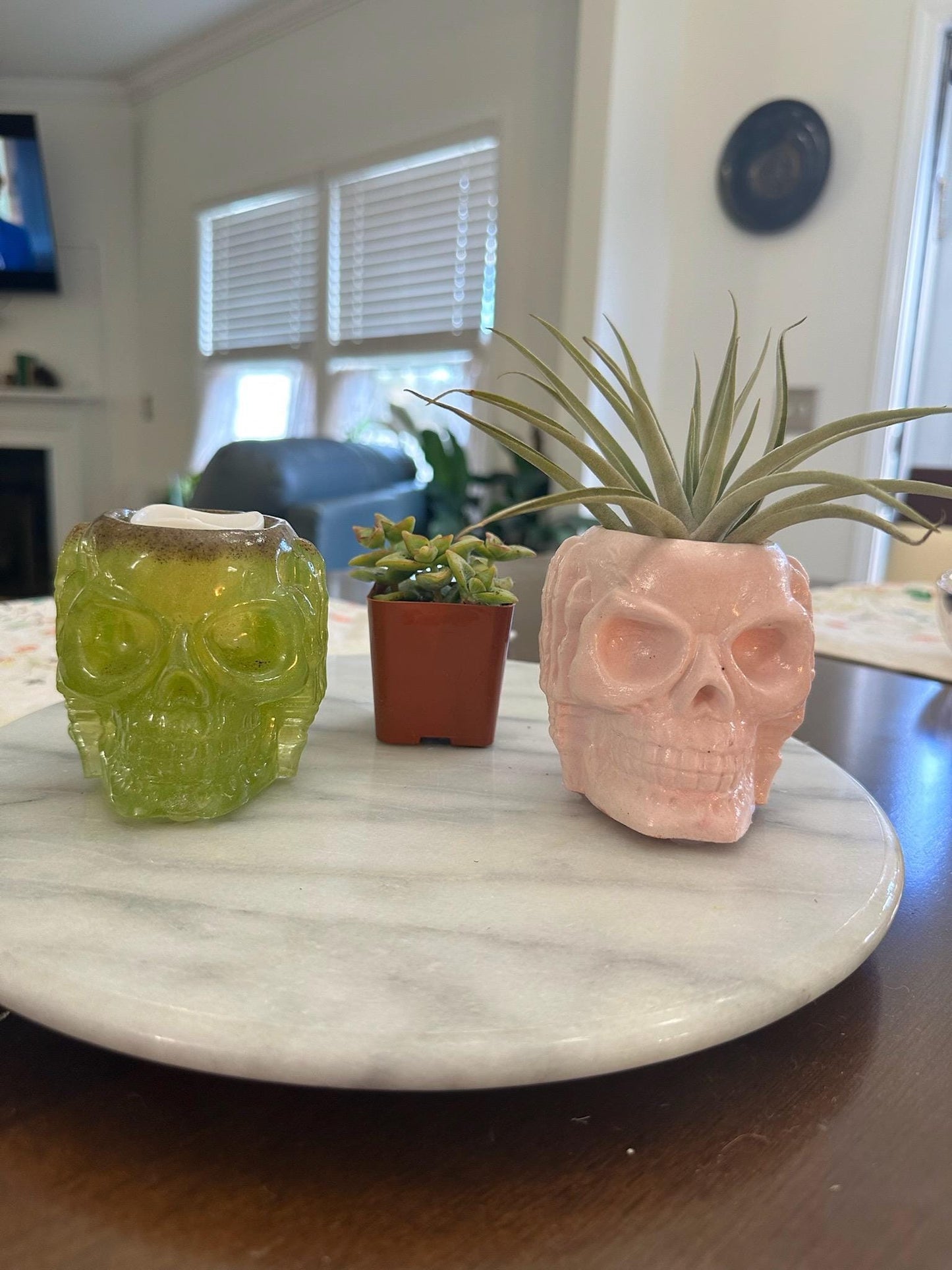 Halloween Skull Holder for Candles and Plants | Skeleton | Spooky Candle/Plant Holder | Eclectic Decor | Halloween | Garden Skull