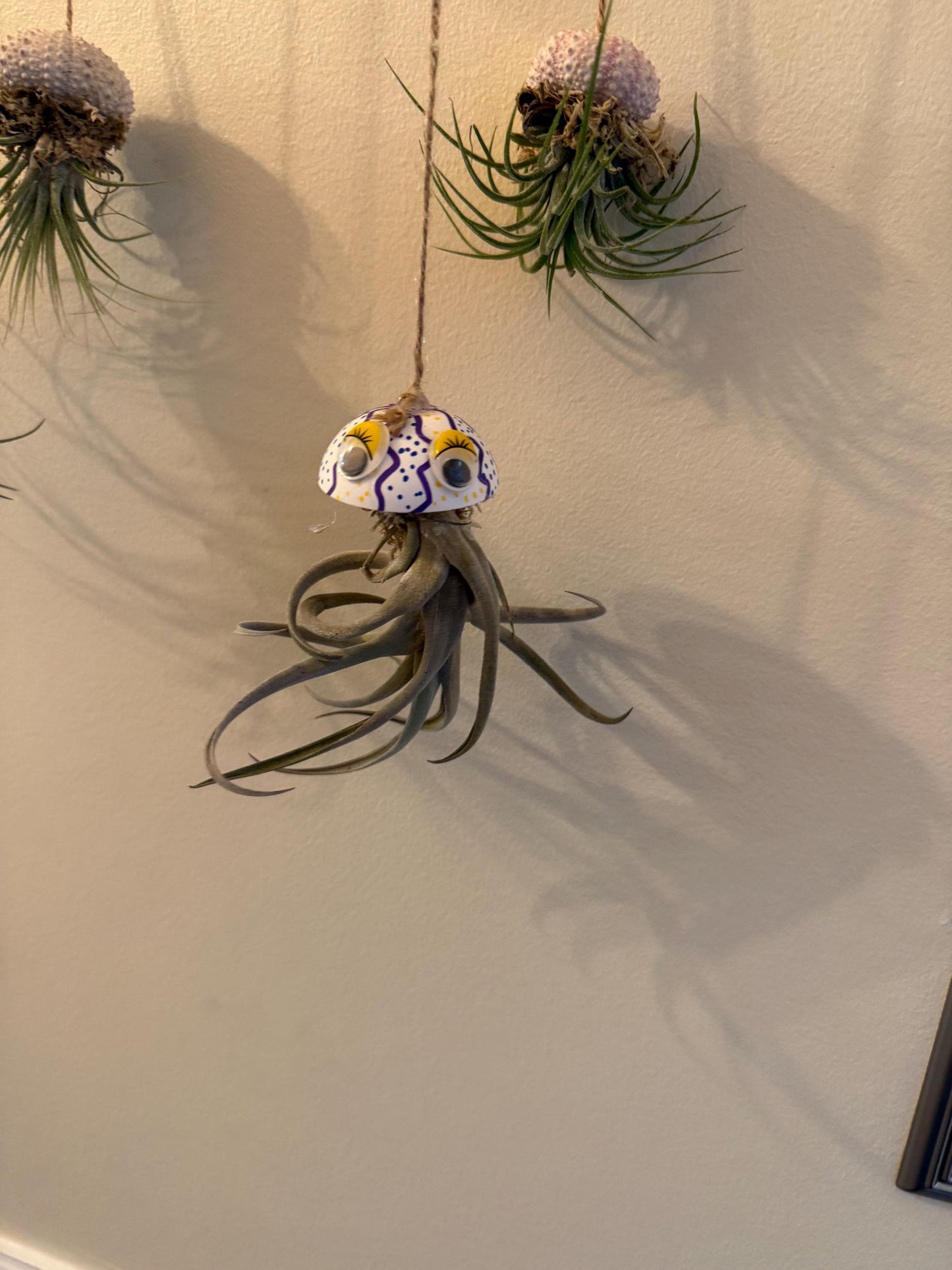 Hanging "Jellyfish" Air Plant Holders | Sea urchin plant holders | Shell Plant Holder | Ocean-Inspired Decor with Real Tillandsia