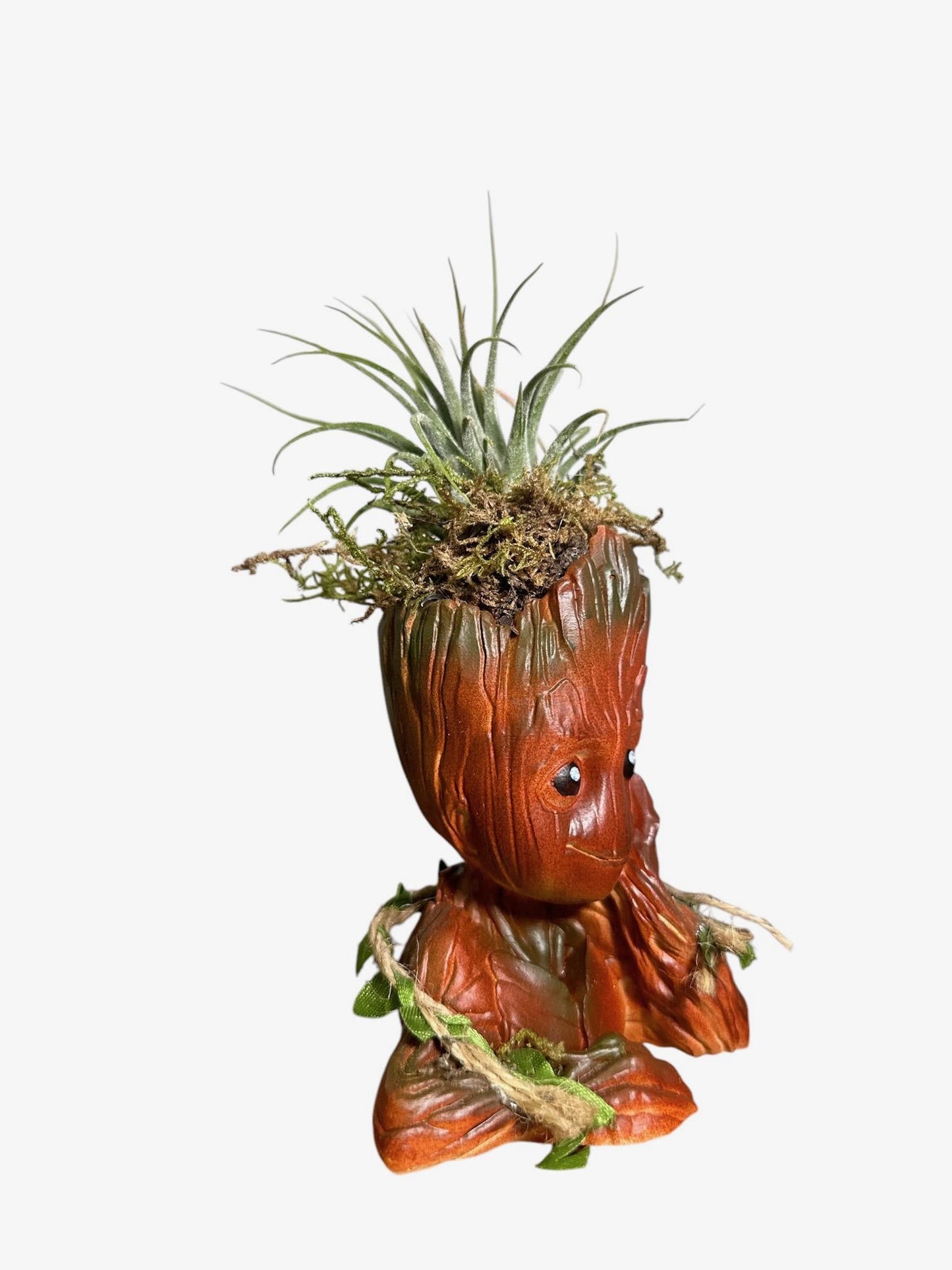 Comic-Themed Plant & Candle | Air Plant Display with Natural Accents | Preserved Moss - Perfect for Office Decor and Comicbook Fans