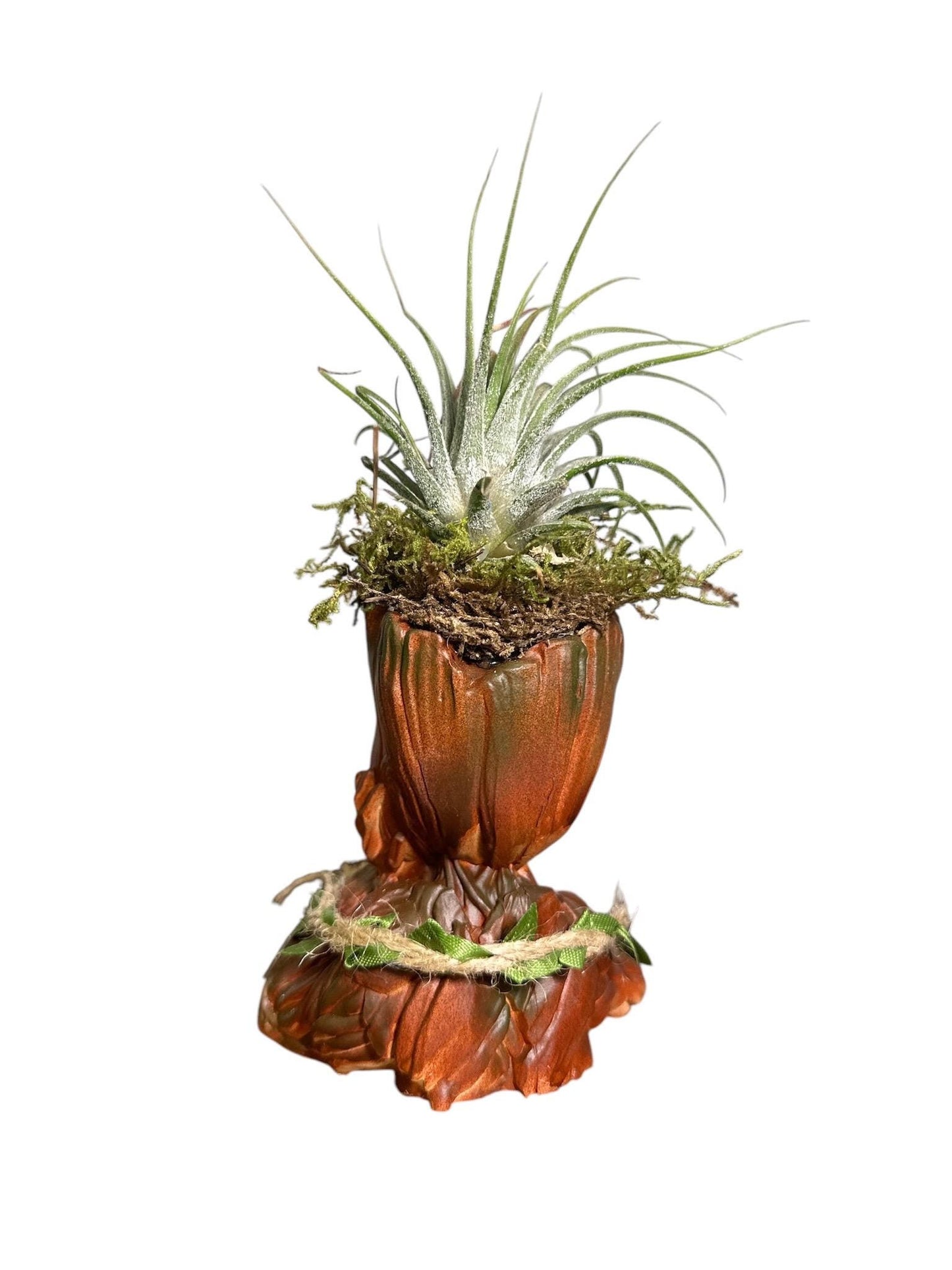 Comic-Themed Plant & Candle | Air Plant Display with Natural Accents | Preserved Moss - Perfect for Office Decor and Comicbook Fans