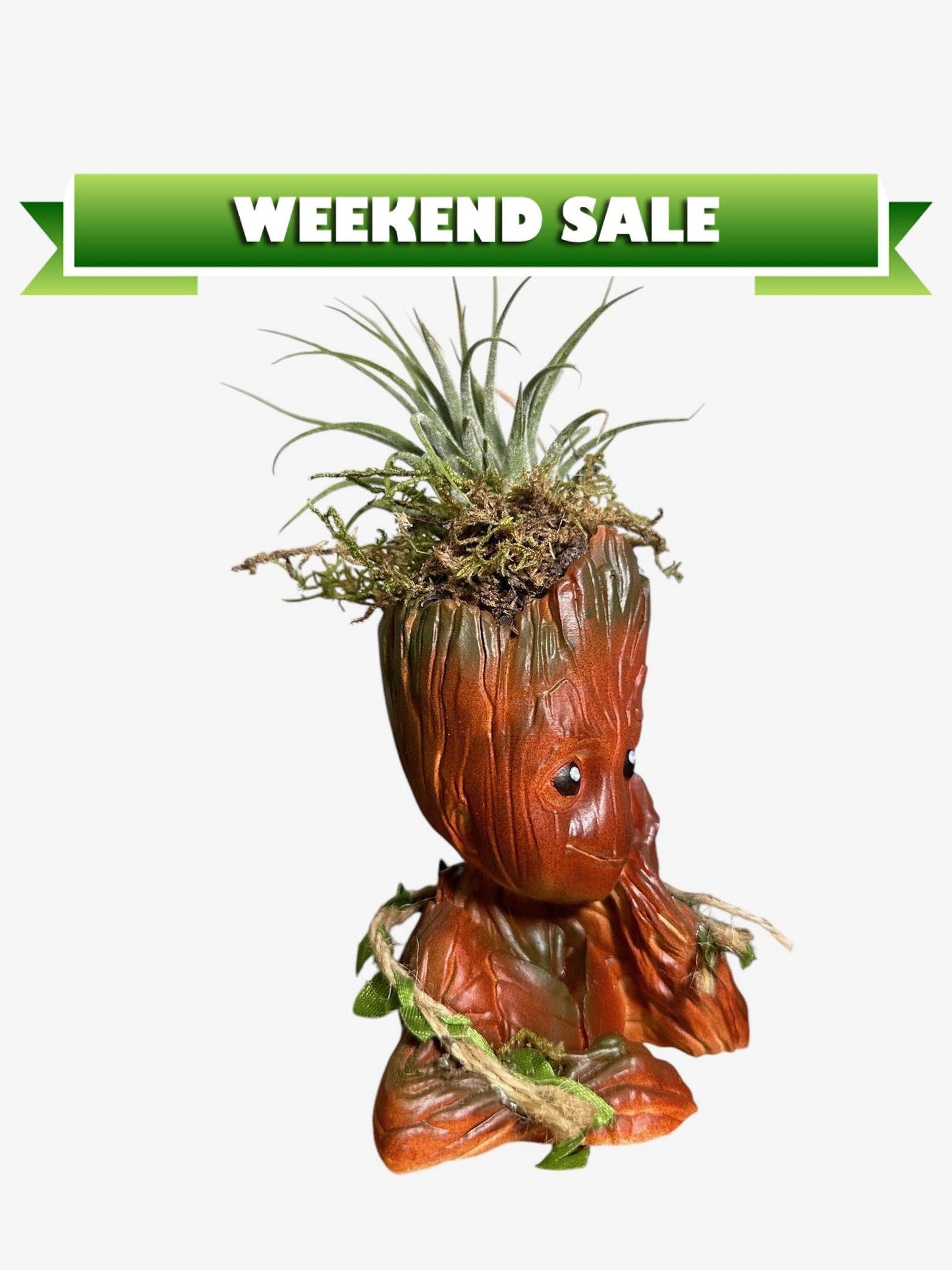 Comic-Themed Plant & Candle | Air Plant Display with Natural Accents | Preserved Moss - Perfect for Office Decor and Comicbook Fans