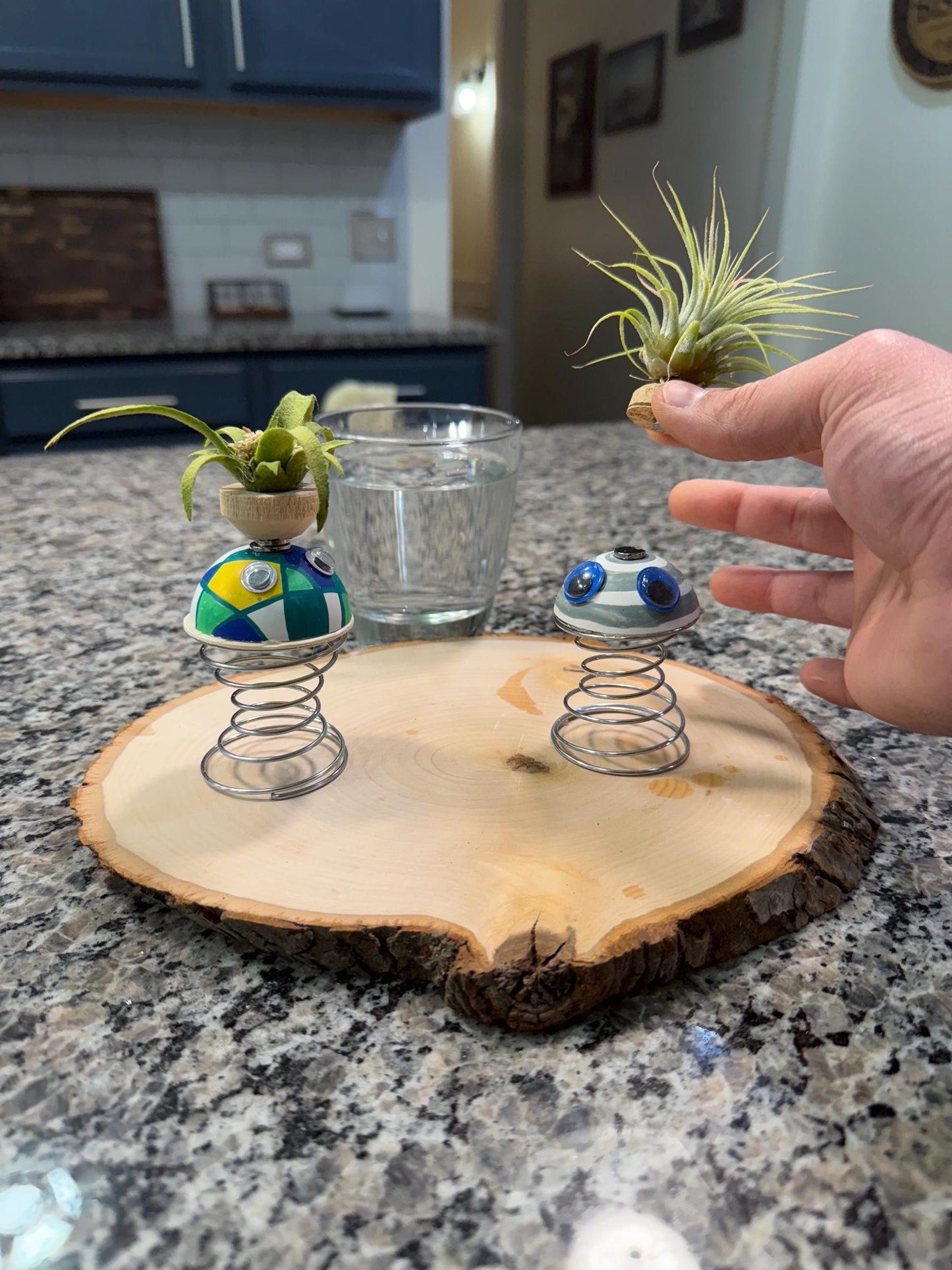 Air Plant Buddy  Magnetic Plant Pal Gift with Googly Eyes | Handmade Air Plant Display
