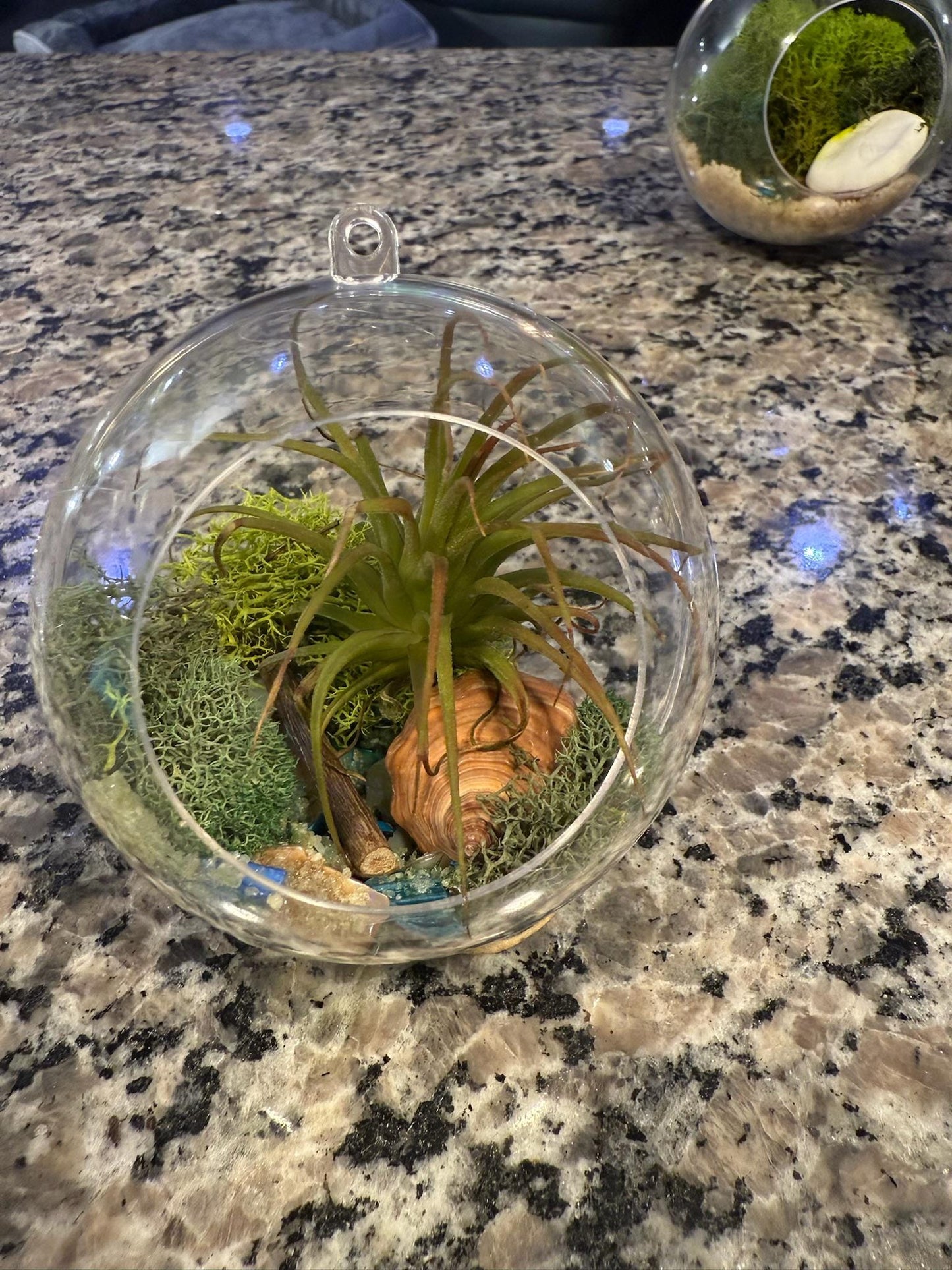 Hanging "Fairy Garden" | Mini Terrarium |  Orb Display for Air plants | Pixie Plant Display