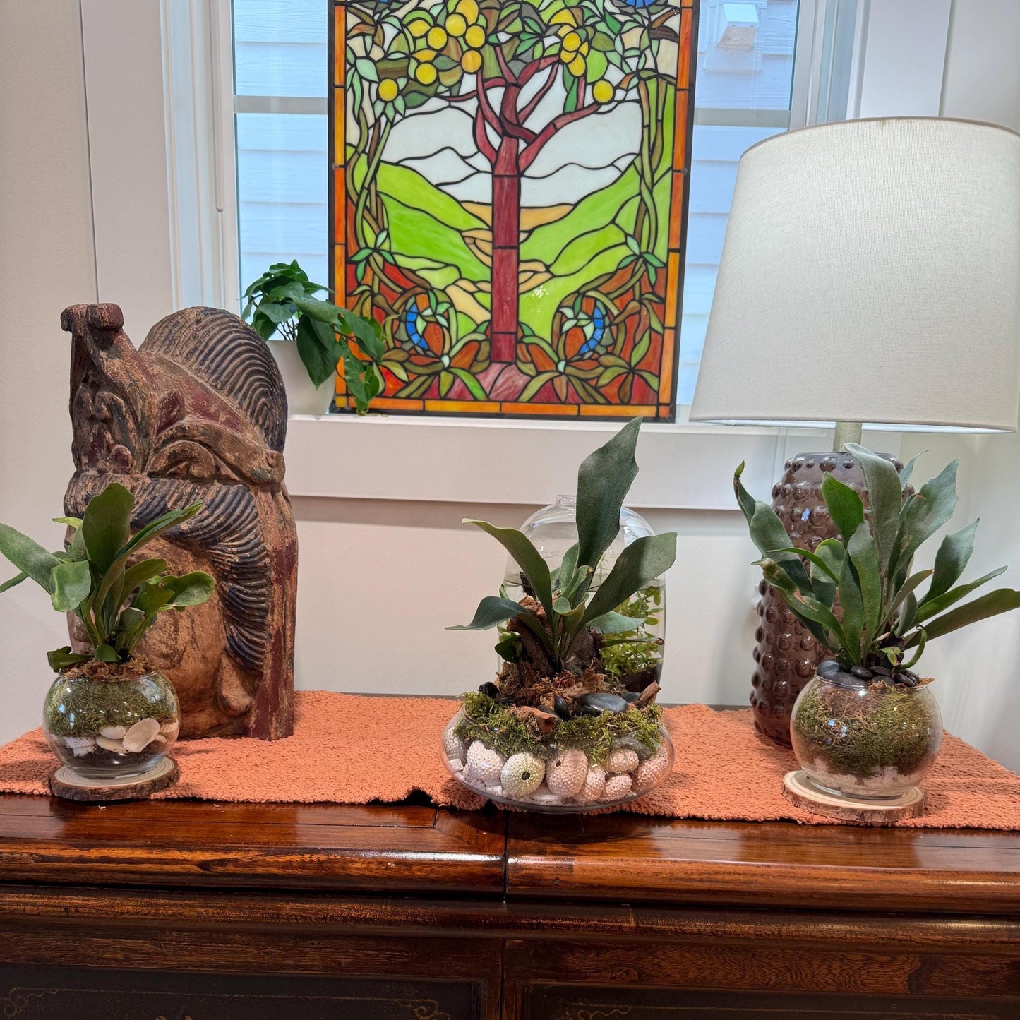 Staghorn Fern Moss Ball & Orb Display | Miniature Live Terrarium | Natural Accents