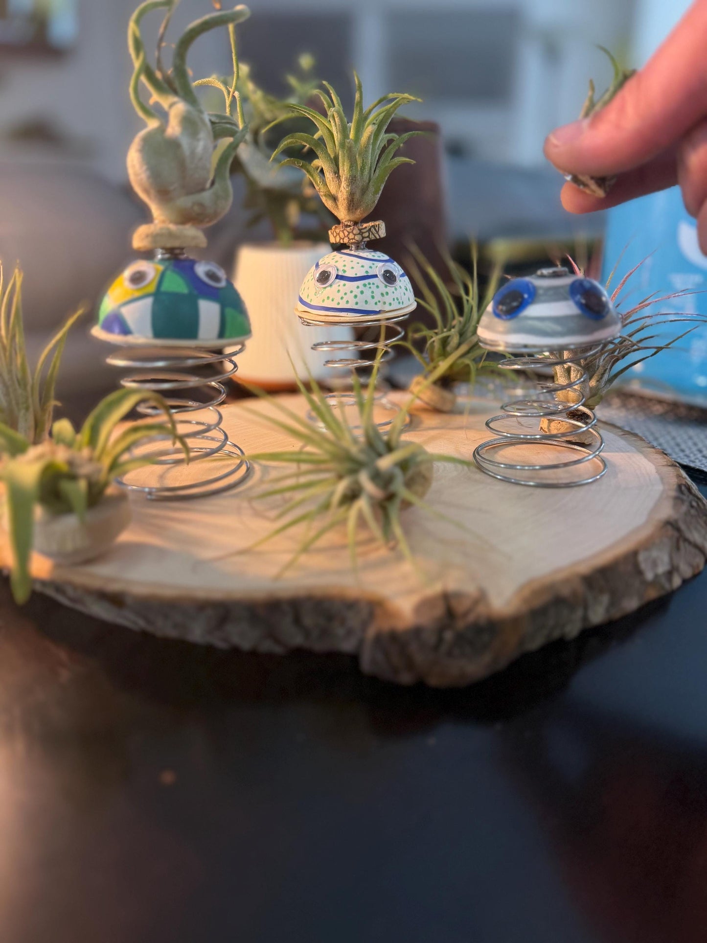 Air Plant Buddy  Magnetic Plant Pal Gift with Googly Eyes | Handmade Air Plant Display