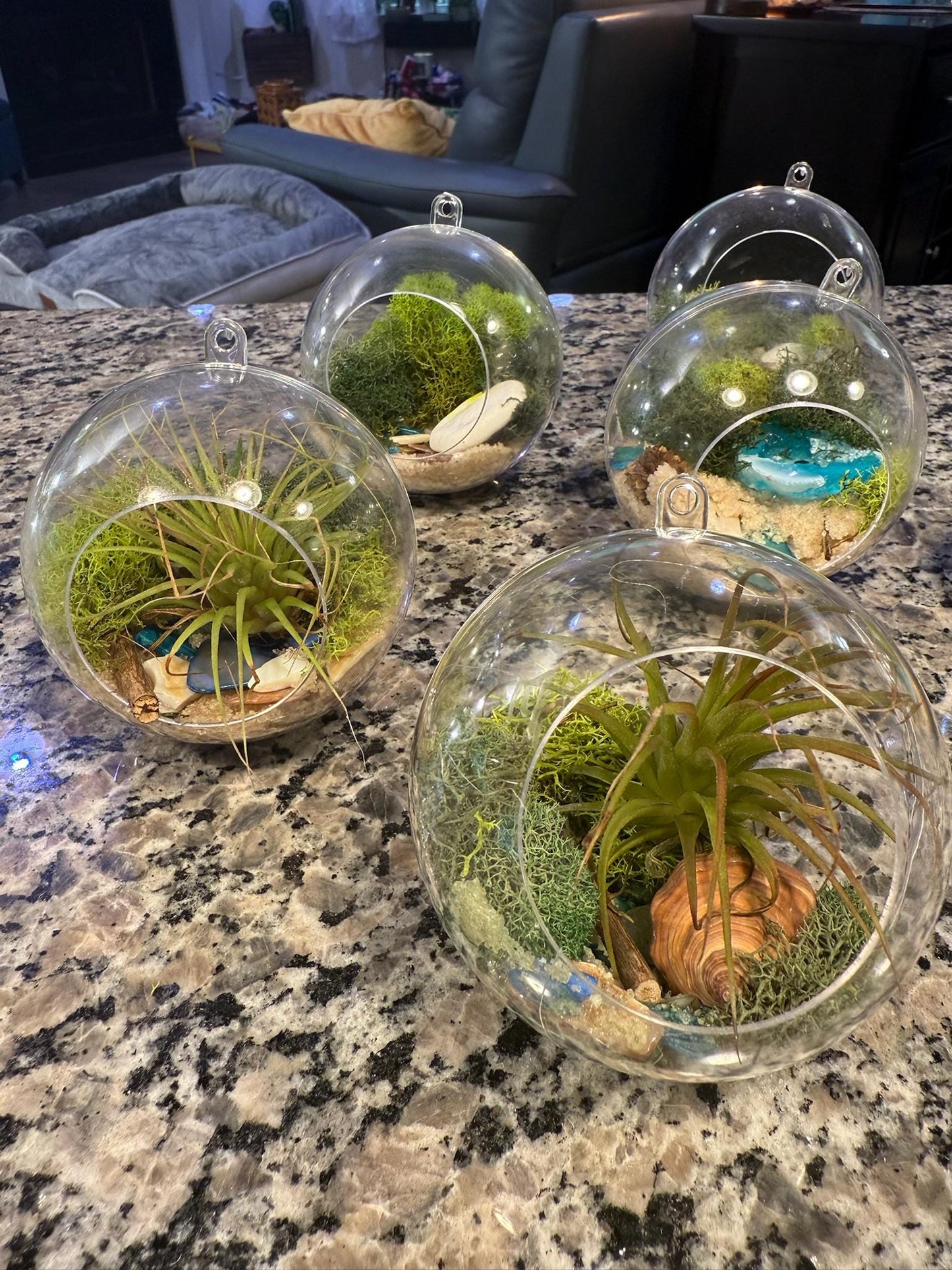 Hanging "Fairy Garden" | Mini Terrarium |  Orb Display for Air plants | Pixie Plant Display