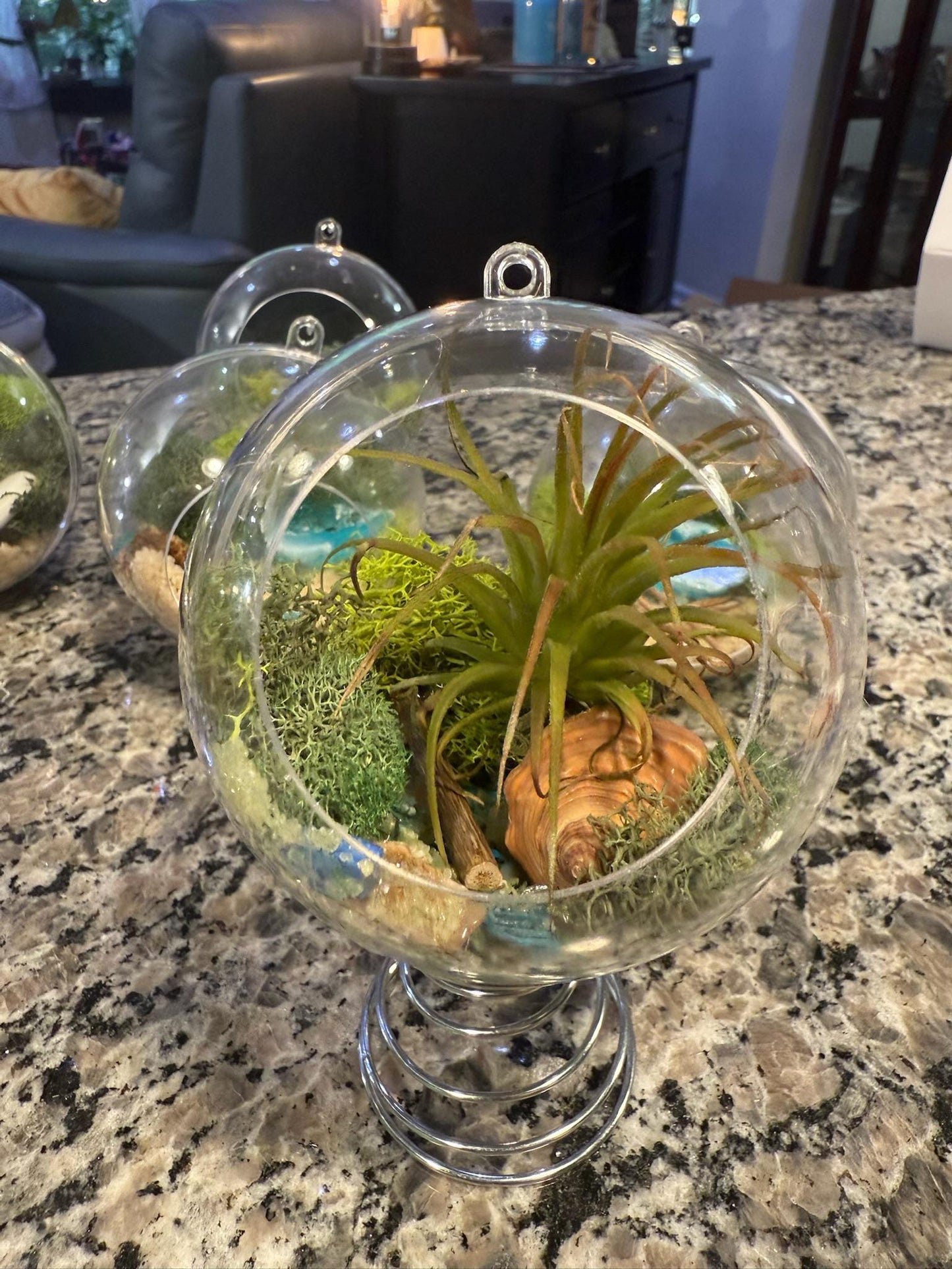 Hanging "Fairy Garden" | Mini Terrarium |  Orb Display for Air plants | Pixie Plant Display