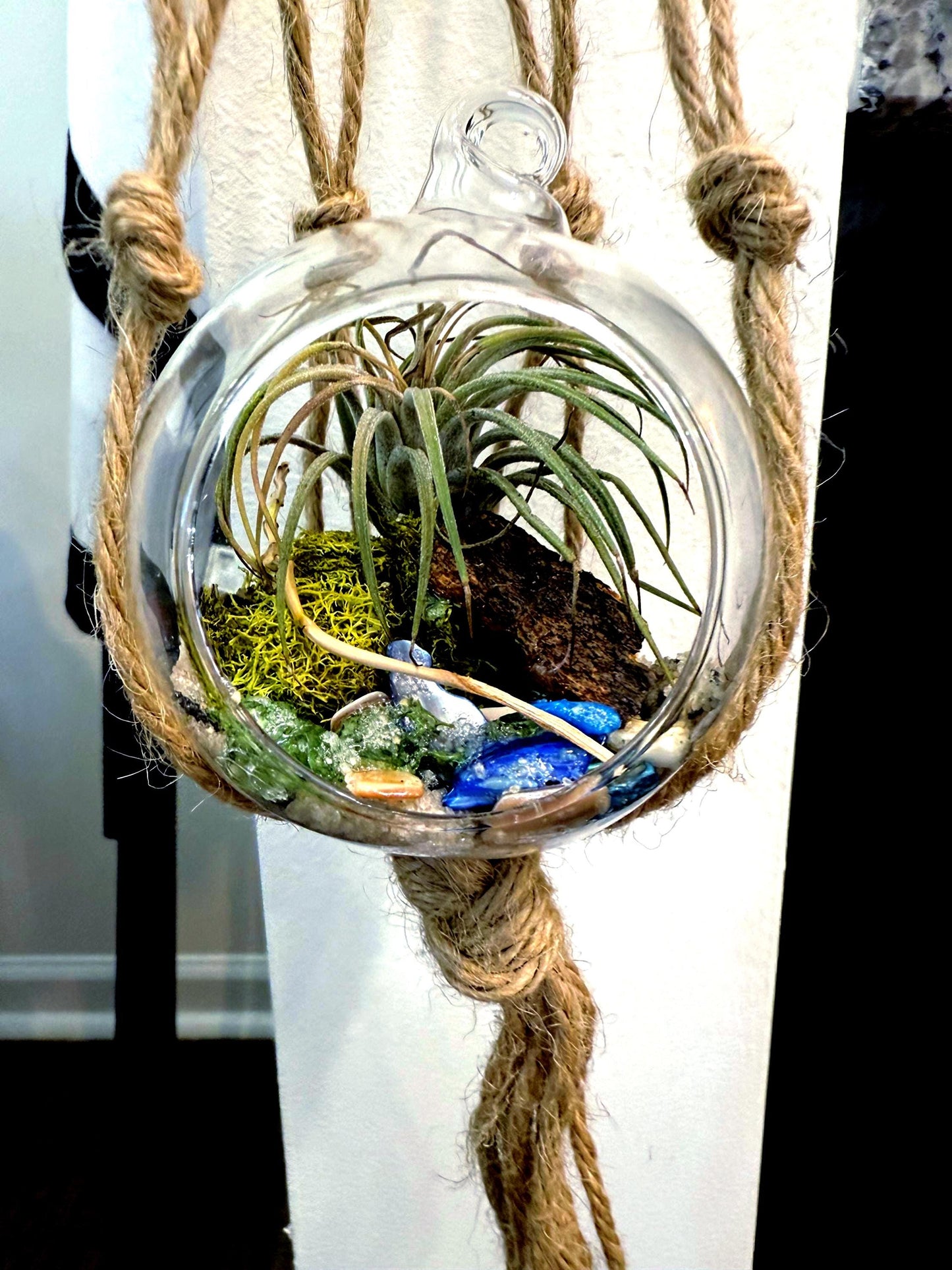 Hanging "Fairy Garden" | Mini Terrarium |  Orb Display for Air plants | Pixie Plant Display