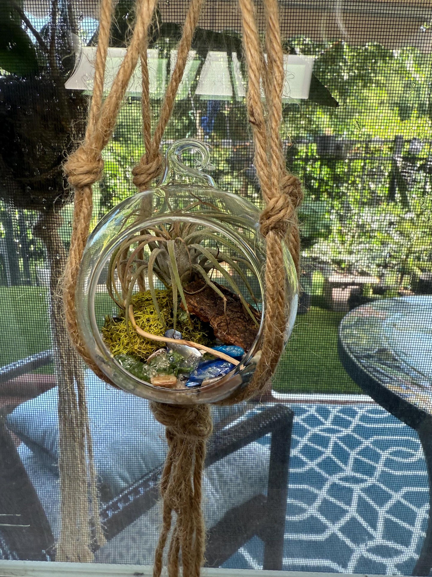 Hanging "Fairy Garden" | Mini Terrarium |  Orb Display for Air plants | Pixie Plant Display