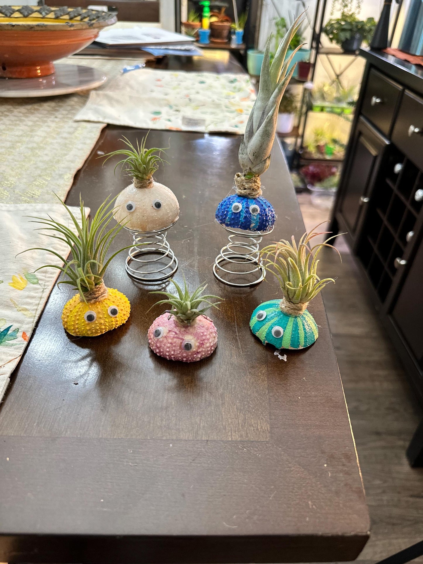 Air Plant Buddy  Magnetic Plant Pal Gift with Googly Eyes | Handmade Air Plant Display